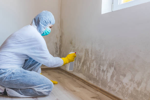 Licensed Mold Testing service in Lakehurst, NJ - WQB Mold Removal