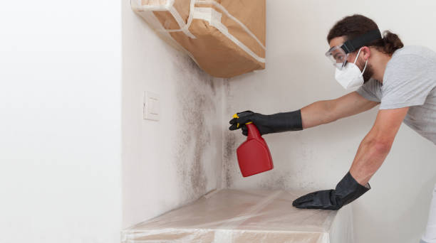 Professional Mold Testing technician working in Lakehurst, NJ
