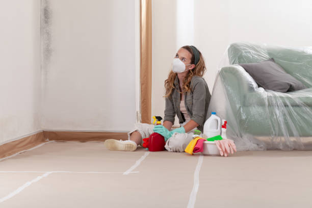 Reliable Mold Testing contractor in Lakehurst, NJ by WQB Mold Removal